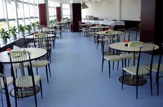 養老院地板,療養院地板,老人院地板的防摔最佳選擇-得嘉閃星3.5mm