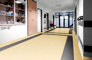 對比色PVC地板顏色搭配風(fēng)格鮮明